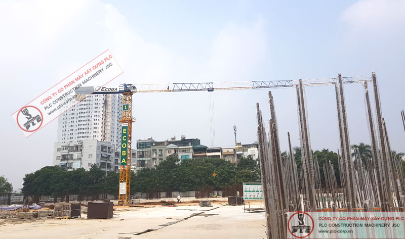 Cho thuê cẩu tháp 6 tấn NTP QTZ5513 tại Hà Nội